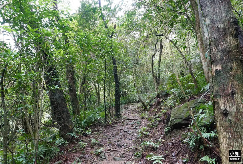 基隆市暖暖區【暖暖步道】基隆暖東峽谷步道,滑瀑,百年土地公,壯觀峽谷,免門票景點!