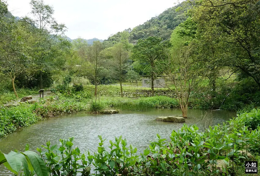 基隆市暖暖區【暖暖步道】基隆暖東峽谷步道,滑瀑,百年土地公,壯觀峽谷,免門票景點!