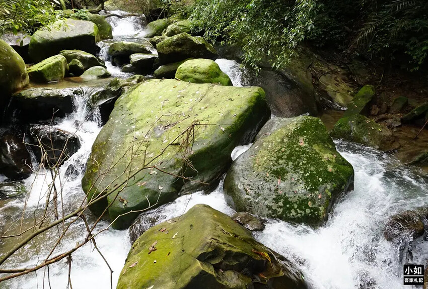 基隆市暖暖區【暖暖步道】基隆暖東峽谷步道,滑瀑,百年土地公,壯觀峽谷,免門票景點!