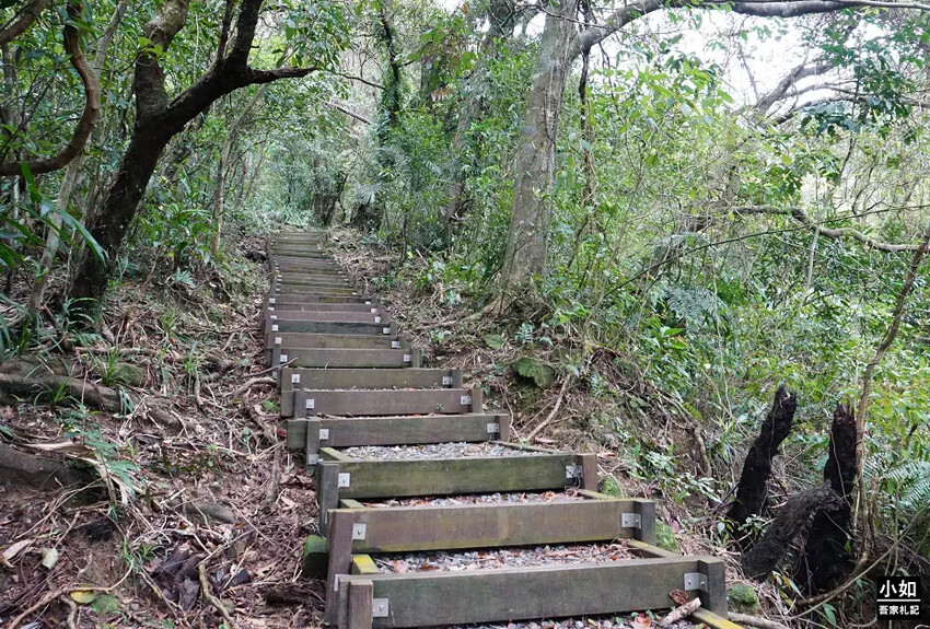 基隆市暖暖區【暖暖步道】基隆暖東峽谷步道,滑瀑,百年土地公,壯觀峽谷,免門票景點!