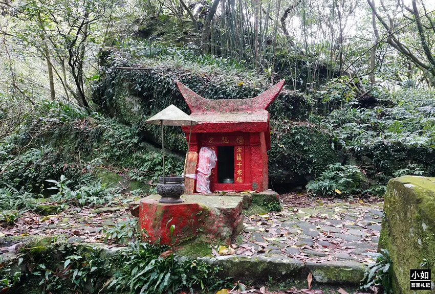 基隆市暖暖區【暖暖步道】基隆暖東峽谷步道,滑瀑,百年土地公,壯觀峽谷,免門票景點!