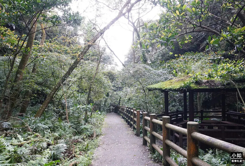 基隆市暖暖區【暖暖步道】基隆暖東峽谷步道,滑瀑,百年土地公,壯觀峽谷,免門票景點!