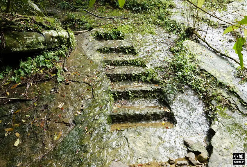 基隆市暖暖區【暖暖步道】基隆暖東峽谷步道,滑瀑,百年土地公,壯觀峽谷,免門票景點!