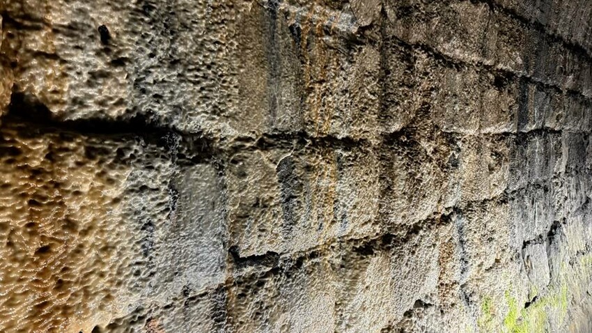 新北市雙溪區新北景點/三貂嶺生態友善隧道，內有蝙蝠棲息區，前往時記得先預約！