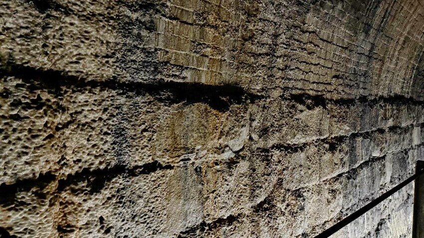 新北市雙溪區新北景點/三貂嶺生態友善隧道，內有蝙蝠棲息區，前往時記得先預約！