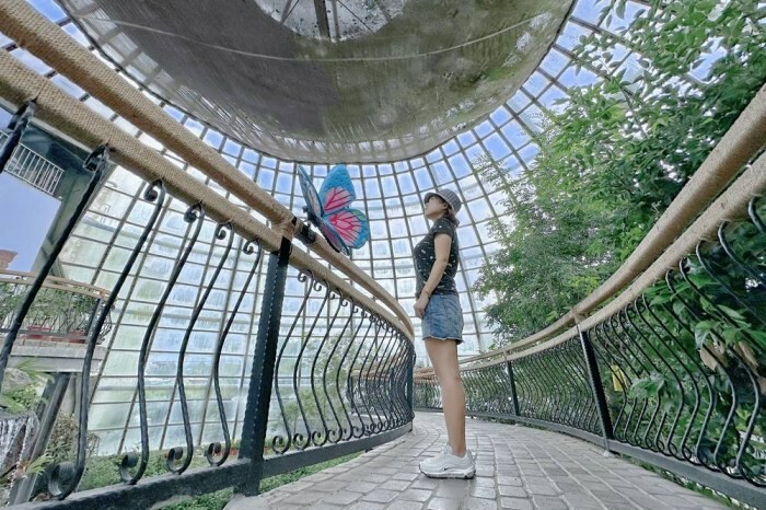 新北市雙溪區新北景點/三貂嶺生態友善隧道，內有蝙蝠棲息區，前往時記得先預約！