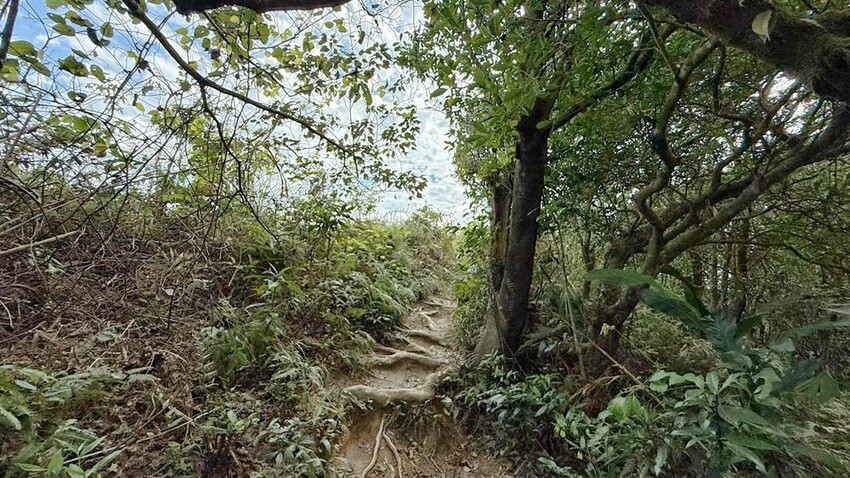 基隆市安樂區基隆景點/大武崙山、大武崙砲台、情人湖公園，半日遊很愜意！