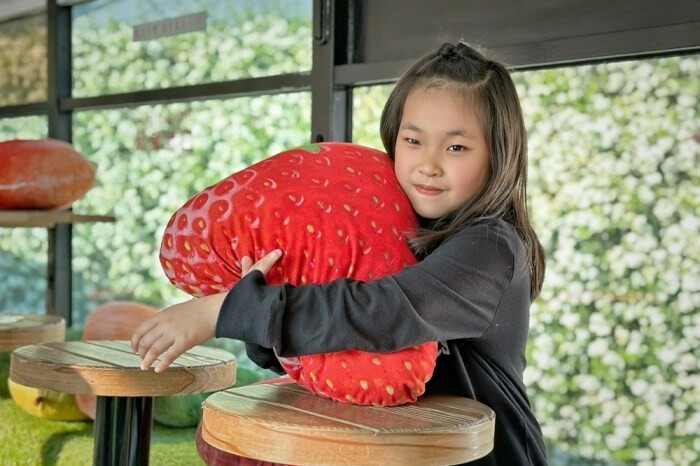 新北市雙溪區新北景點/三貂嶺生態友善隧道，內有蝙蝠棲息區，前往時記得先預約！
