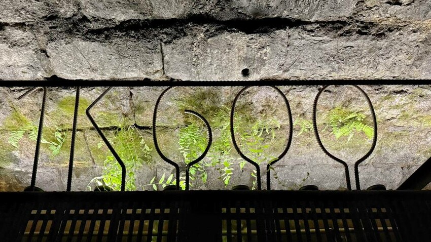 新北市雙溪區新北景點/三貂嶺生態友善隧道，內有蝙蝠棲息區，前往時記得先預約！