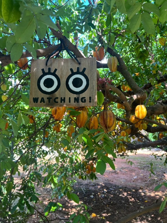 日本第一次來沖繩，新手去哪裡玩｜景點攻略、美食