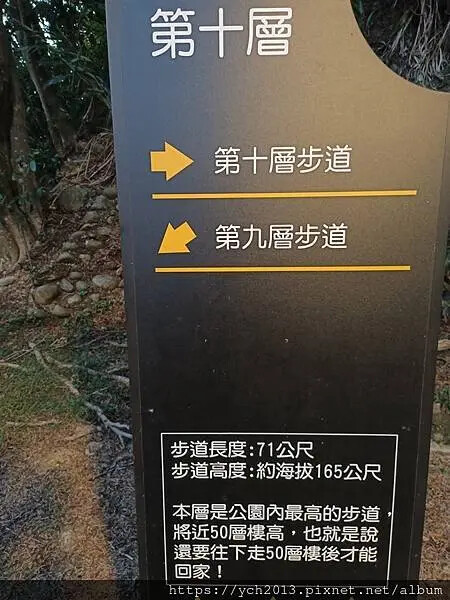 新北市五股區20250130五股山坡水碓公園賞夜景