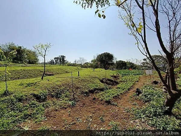 台北市北投區北投陽明山東昇步道至風尾步道O型一圈賞墨染櫻與田裡大山櫻