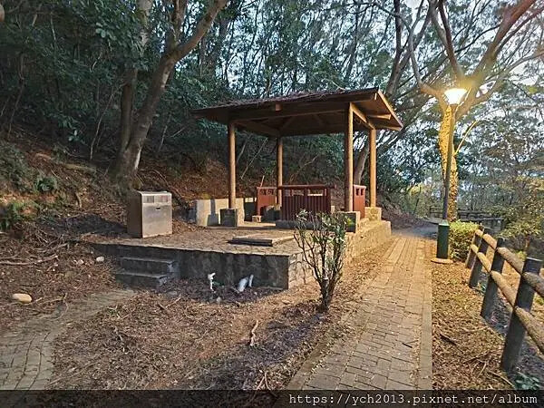 新北市五股區20250130五股山坡水碓公園賞夜景