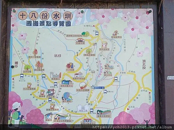 台北市北投區北投陽明山東昇步道至風尾步道O型一圈賞墨染櫻與田裡大山櫻