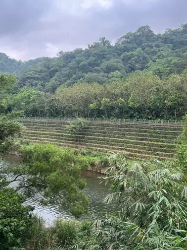 新北市三貂嶺站：平溪線一日遊。午餐寬哥那裡。來平日的瑞芳吃個義大利麵過個悠遊的下午