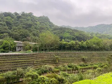 新北市三貂嶺站：平溪線一日遊。午餐寬哥那裡。來平日的瑞芳吃個義大利麵過個悠遊的下午