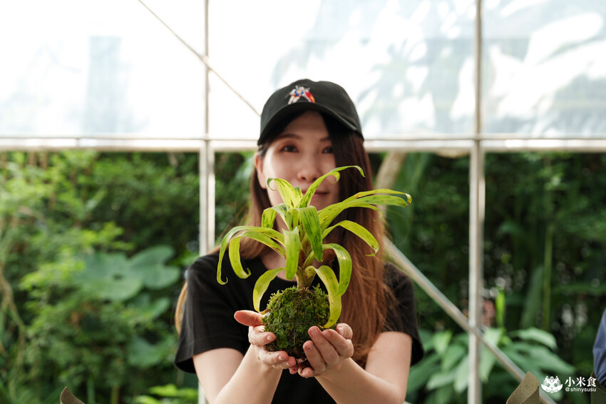 南投縣埔里鎮宅栽觀葉農場｜植物百寶箱，埔里放電行程，南投一日遊，2025埔里景點推薦