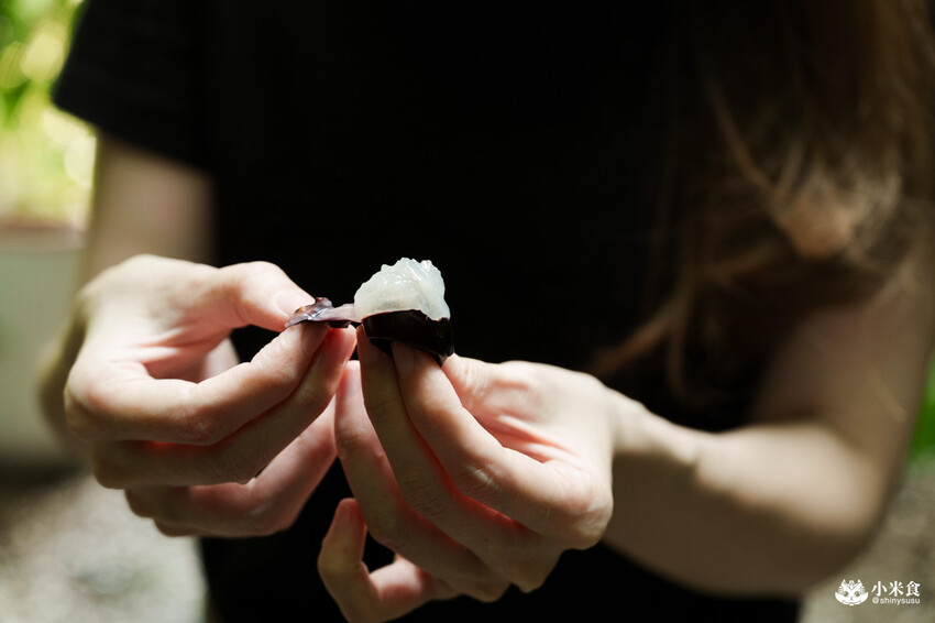 南投縣埔里鎮宅栽觀葉農場｜植物百寶箱，埔里放電行程，南投一日遊，2025埔里景點推薦