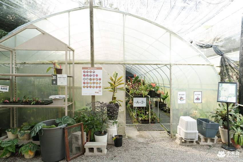 南投縣埔里鎮宅栽觀葉農場｜植物百寶箱，埔里放電行程，南投一日遊，2025埔里景點推薦