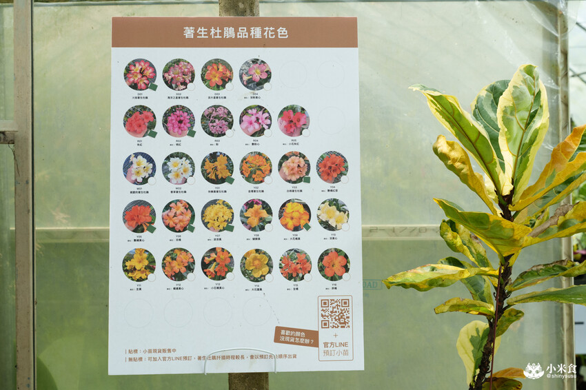 南投縣埔里鎮宅栽觀葉農場｜植物百寶箱，埔里放電行程，南投一日遊，2025埔里景點推薦