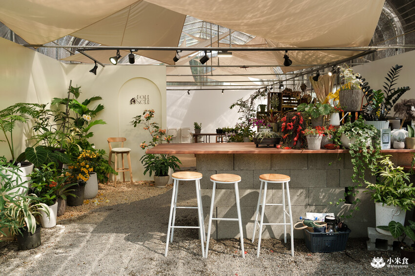 南投縣埔里鎮宅栽觀葉農場｜植物百寶箱，埔里放電行程，南投一日遊，2025埔里景點推薦