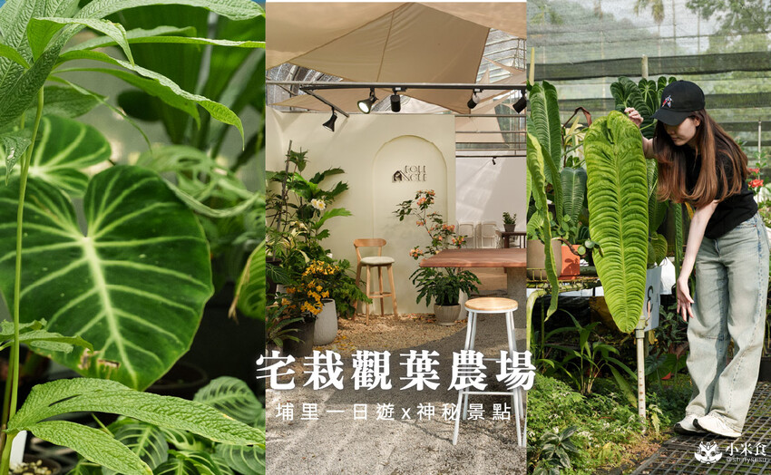南投縣埔里鎮宅栽觀葉農場｜植物百寶箱，埔里放電行程，南投一日遊，2025埔里景點推薦