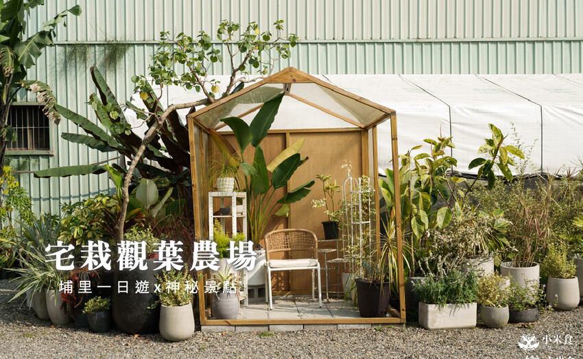 南投縣埔里鎮宅栽觀葉農場｜植物百寶箱，埔里放電行程，南投一日遊，2025埔里景點推薦