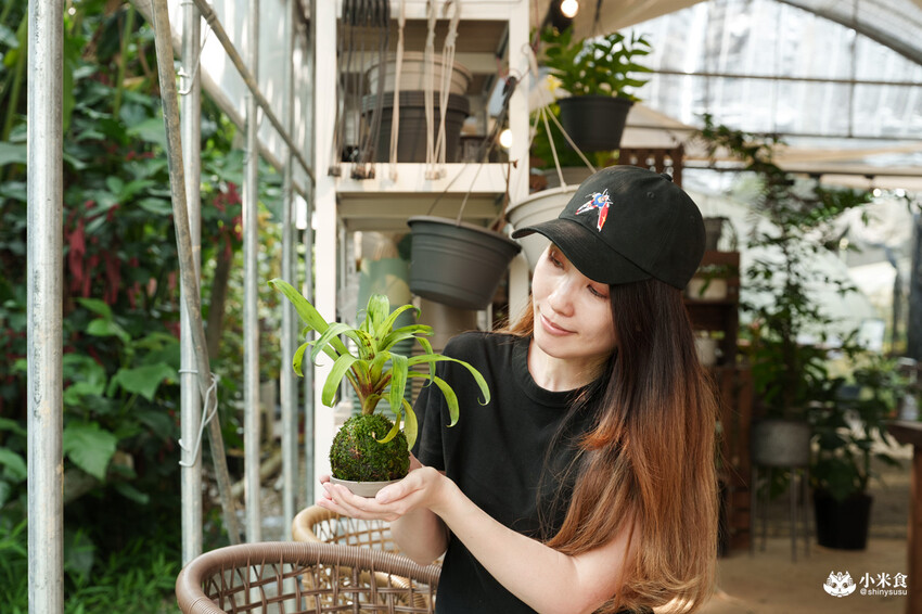 南投縣埔里鎮宅栽觀葉農場｜植物百寶箱，埔里放電行程，南投一日遊，2025埔里景點推薦