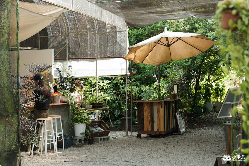 南投縣埔里鎮宅栽觀葉農場｜植物百寶箱，埔里放電行程，南投一日遊，2025埔里景點推薦