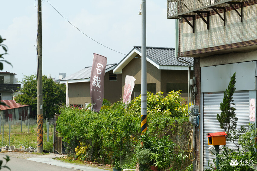 南投縣埔里鎮宅栽觀葉農場｜植物百寶箱，埔里放電行程，南投一日遊，2025埔里景點推薦