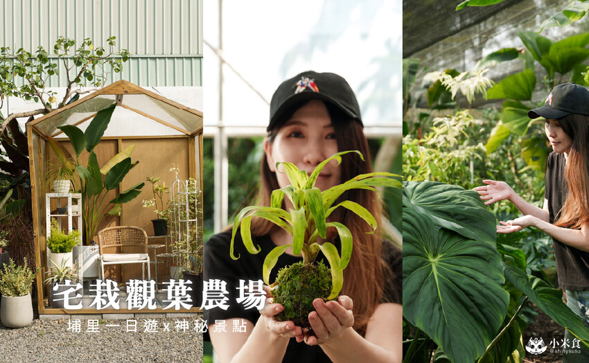 南投縣埔里鎮宅栽觀葉農場｜植物百寶箱，埔里放電行程，南投一日遊，2025埔里景點推薦