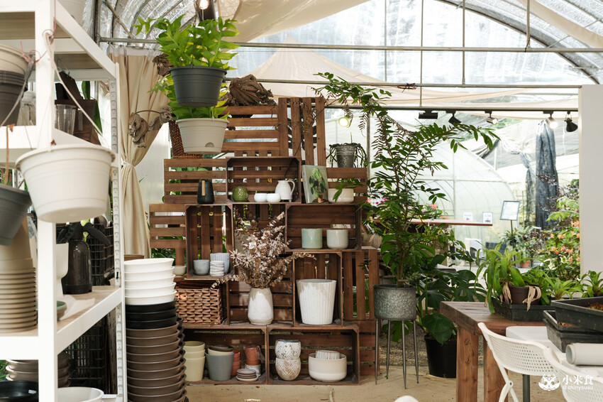 南投縣埔里鎮宅栽觀葉農場｜植物百寶箱，埔里放電行程，南投一日遊，2025埔里景點推薦