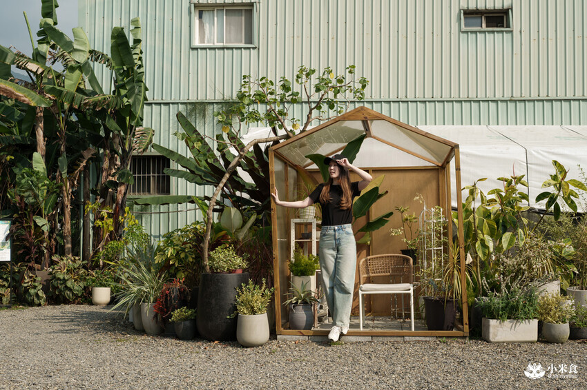 南投縣埔里鎮宅栽觀葉農場｜植物百寶箱，埔里放電行程，南投一日遊，2025埔里景點推薦