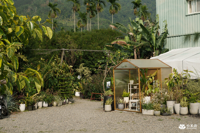 南投縣埔里鎮宅栽觀葉農場｜植物百寶箱，埔里放電行程，南投一日遊，2025埔里景點推薦
