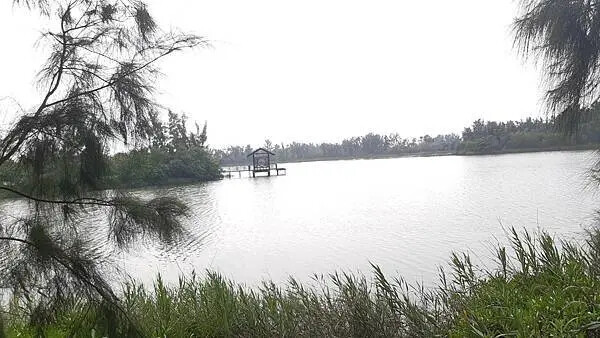 雲林椬梧滯洪池秘境！口湖旅遊必訪景點。