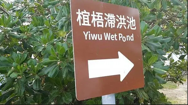 雲林椬梧滯洪池秘境！口湖旅遊必訪景點。