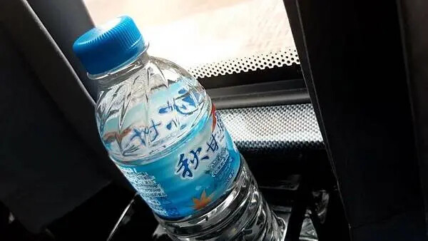 雲林椬梧滯洪池秘境！口湖旅遊必訪景點。