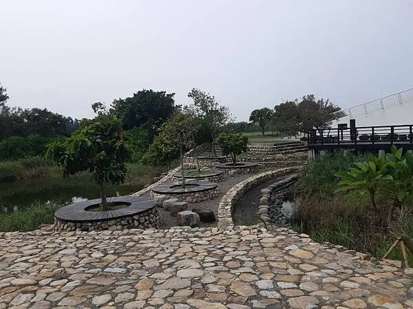 雲林椬梧滯洪池秘境！口湖旅遊必訪景點。