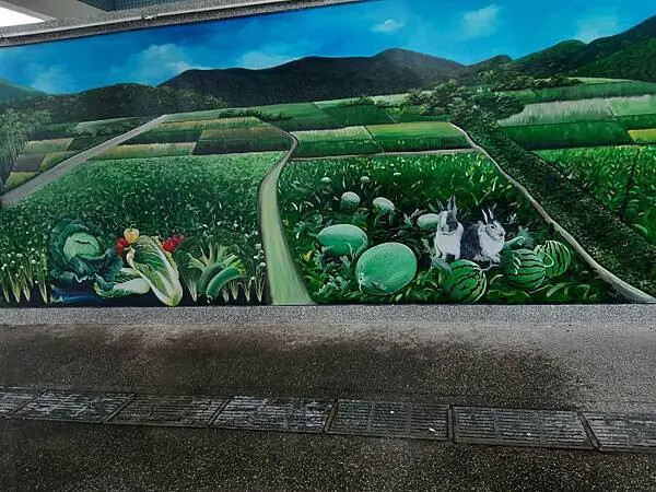 雲林椬梧滯洪池秘境！口湖旅遊必訪景點。