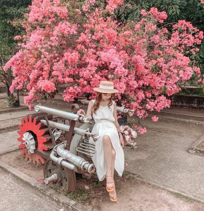 橋頭糖廠交通美食，門票資訊＆五分車體驗全包，吃冰搭五分車一日遊必玩。