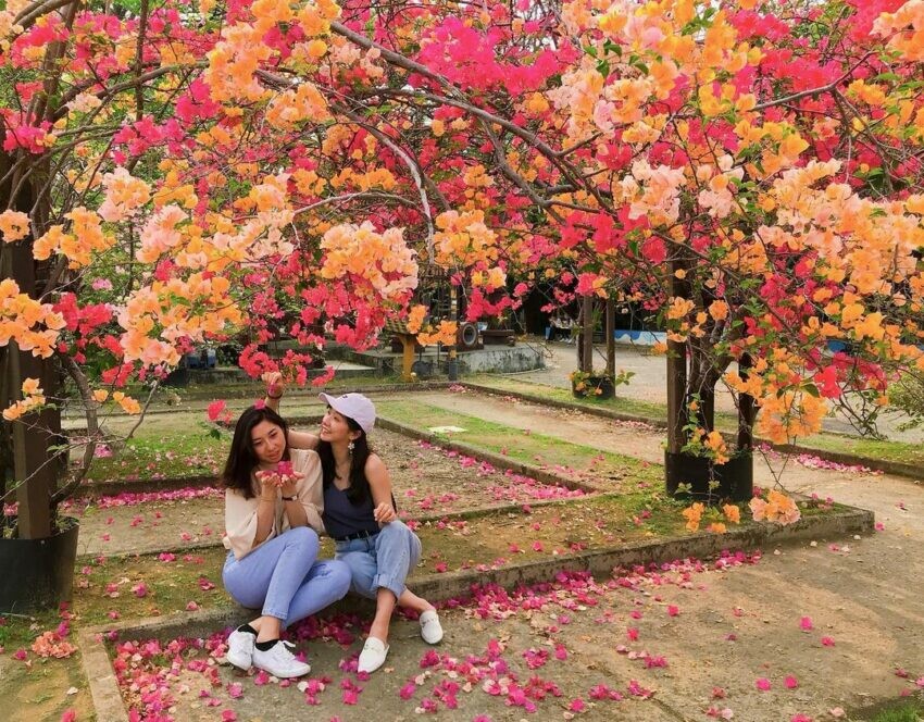 橋頭糖廠交通美食，門票資訊＆五分車體驗全包，吃冰搭五分車一日遊必玩。