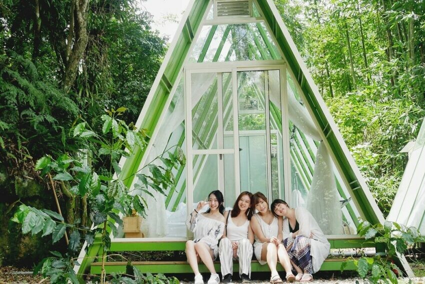 阿里山住宿推薦！超美山居民宿懶人包，10間必住秘境美宿。