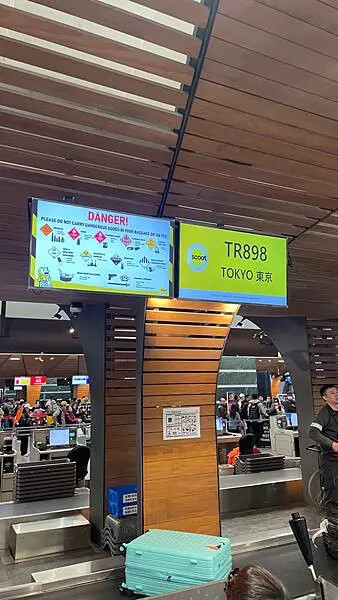 日本2024東京自由行-飛行紀錄-酷航(TR898 TPE=>NRT台北=>東京成田)&N'EX=>特急=>石和溫泉