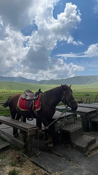 日本2024九州自由行-一篇看懂!熊本・阿蘇・博多・高千穗自由行行程規劃+花火節必看指南(行程,景點,花費,美