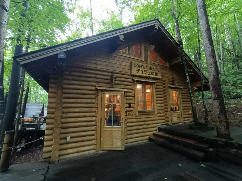 日本2024東京北海道|富田農場看薰衣草~哈蜜瓜麵包必吃!不吃肯定後悔!森林精靈露台~吸收芬多精享片刻寧靜!