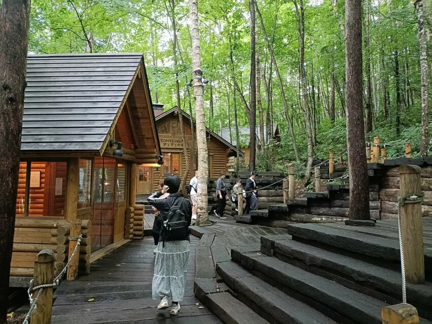 日本2024東京北海道|富田農場看薰衣草~哈蜜瓜麵包必吃!不吃肯定後悔!森林精靈露台~吸收芬多精享片刻寧靜!