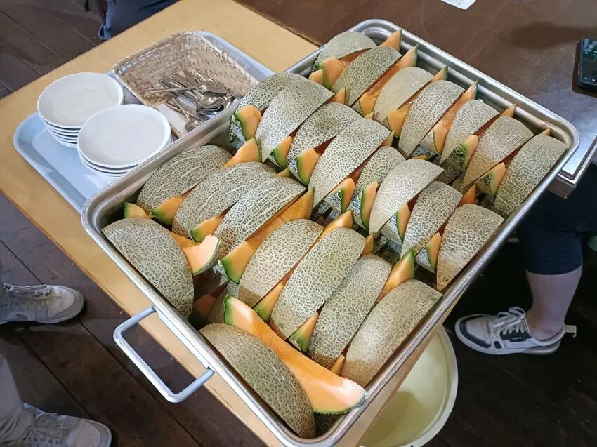 日本2024東京北海道|美瑛四季彩之丘，賞花賞景好放鬆~必吃生玉米、薰衣草牛奶霜淇淋!午餐哈蜜瓜吃到飽~~~好甜好