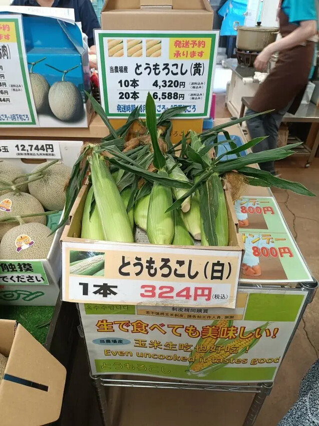 日本2024東京北海道|美瑛四季彩之丘，賞花賞景好放鬆~必吃生玉米、薰衣草牛奶霜淇淋!午餐哈蜜瓜吃到飽~~~好甜好