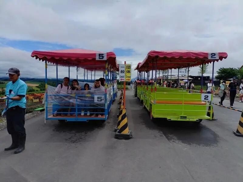 日本2024東京北海道|美瑛四季彩之丘，賞花賞景好放鬆~必吃生玉米、薰衣草牛奶霜淇淋!午餐哈蜜瓜吃到飽~~~好甜好