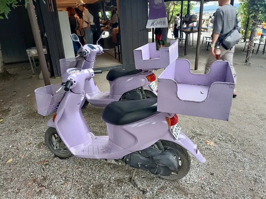 日本2024東京北海道|富田農場看薰衣草~哈蜜瓜麵包必吃!不吃肯定後悔!森林精靈露台~吸收芬多精享片刻寧靜!